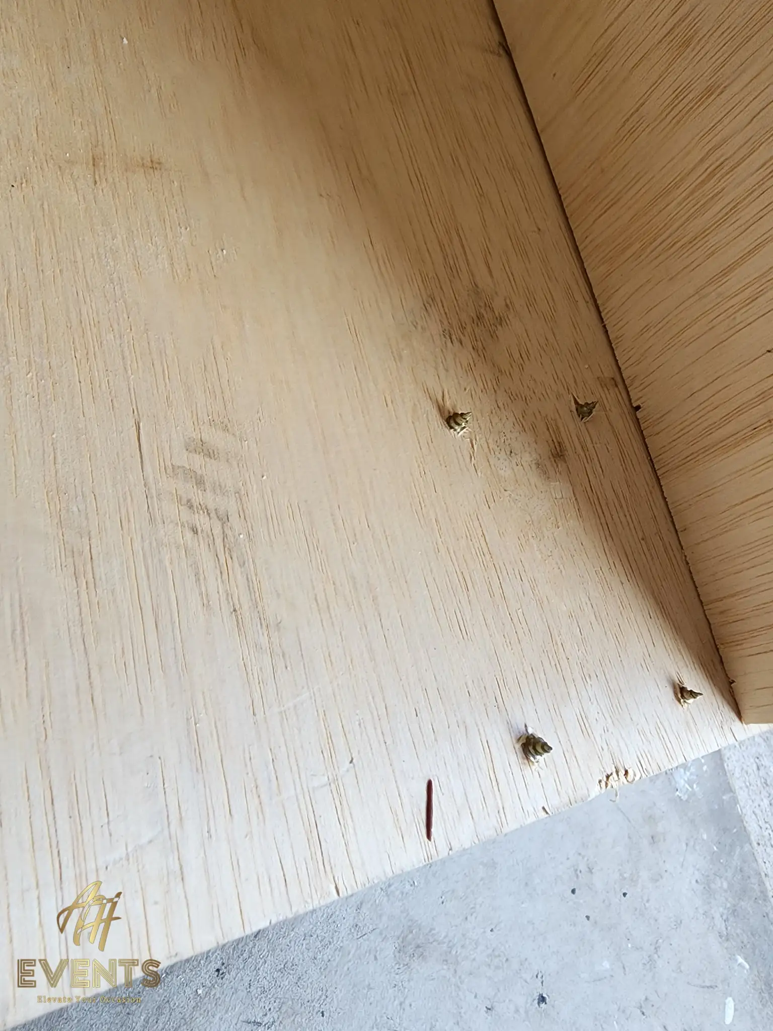 Close-up of countersunk screw heads along the plywood edge of the cart frame